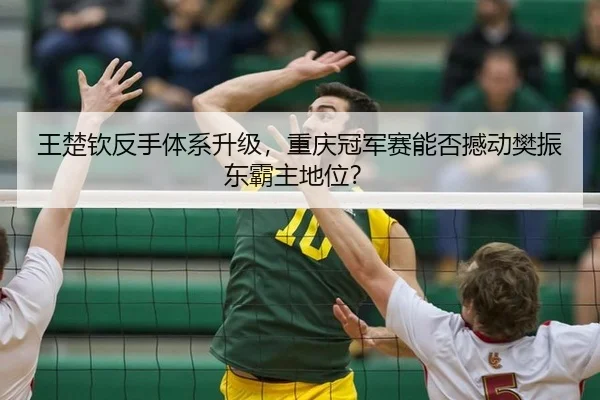 王楚钦反手体系升级，重庆冠军赛能否撼动樊振东霸主地位？