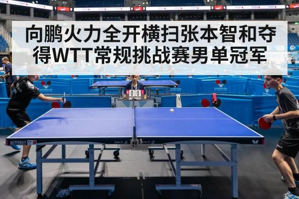 向鹏火力全开横扫张本智和夺得WTT常规挑战赛男单冠军