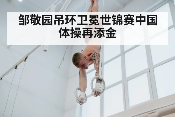 邹敬园吊环卫冕世锦赛中国体操再添金