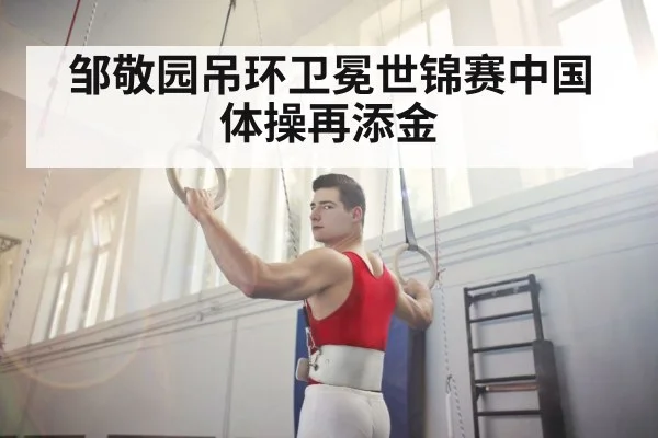 gymnast rings strength